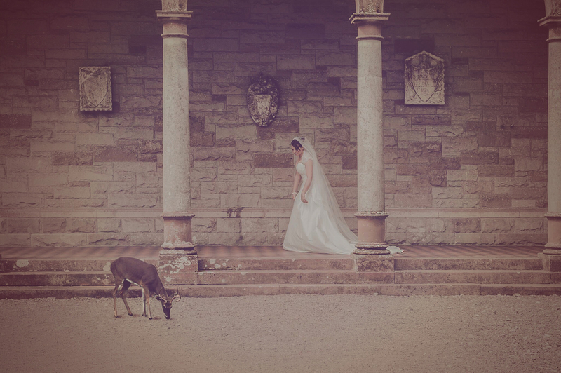 FINNimaje™ Wedding Photography €900