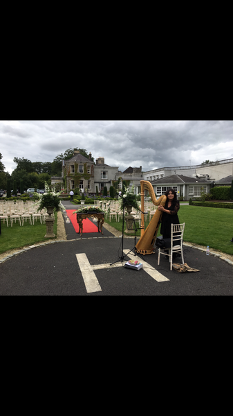 Internationally Acclaimed Harpist -Fionnuala Monks €350