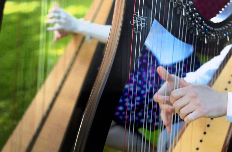 Eimear Coughlan Harpist €250