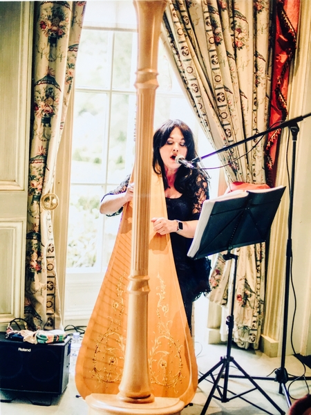 Internationally Acclaimed Harpist -Fionnuala Monks €350