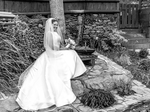 Wedding Photographer €800