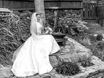 Wedding Photographer €800