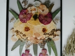 Pressed Flower Art €150