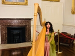 Internationally Acclaimed Harpist -Fionnuala Monks €350