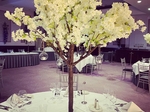 Dream Weddings and Events €299