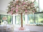 Dream Weddings and Events €299