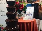 EL Cakes - Chocolate Fountain €250