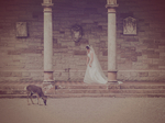 FINNimaje™ Wedding Photography €900