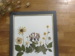 Pressed Flower Art €150