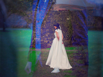 FINNimaje™ Wedding Photography €900