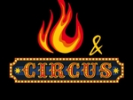 Fire and Circus Performers €400