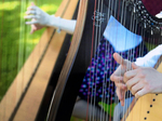 Eimear Coughlan Harpist €250