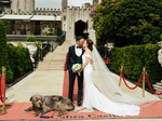 Cabra Castle €88