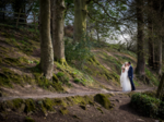 Castle Oaks House Hotel €49