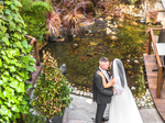 Wedding Photographer €800